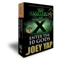 BaZi - The Power of X : Enter the 10 Gods (Book 3) by Joey Yap