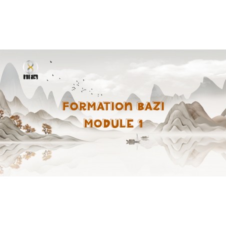 Formation BaZi - Module 1 - REPLAY de la formation en ligne