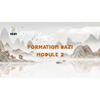 Formation BaZi - Module 2 - 4 Jours en live à Bruxelles